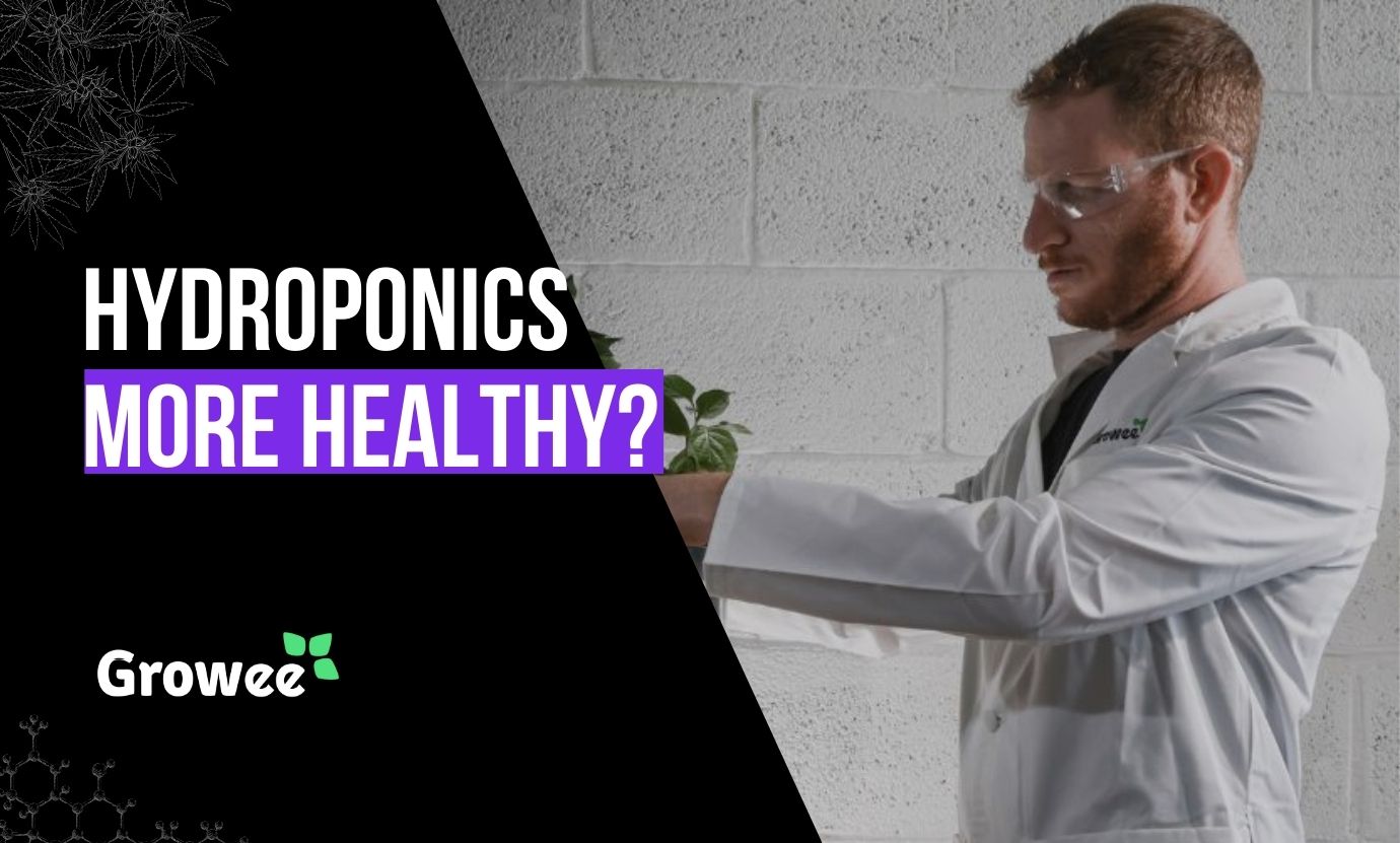 Are Hydroponic Vegetables Healthy