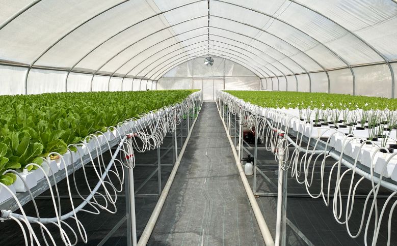 What is the difference between organic farming and hydroponic farming?