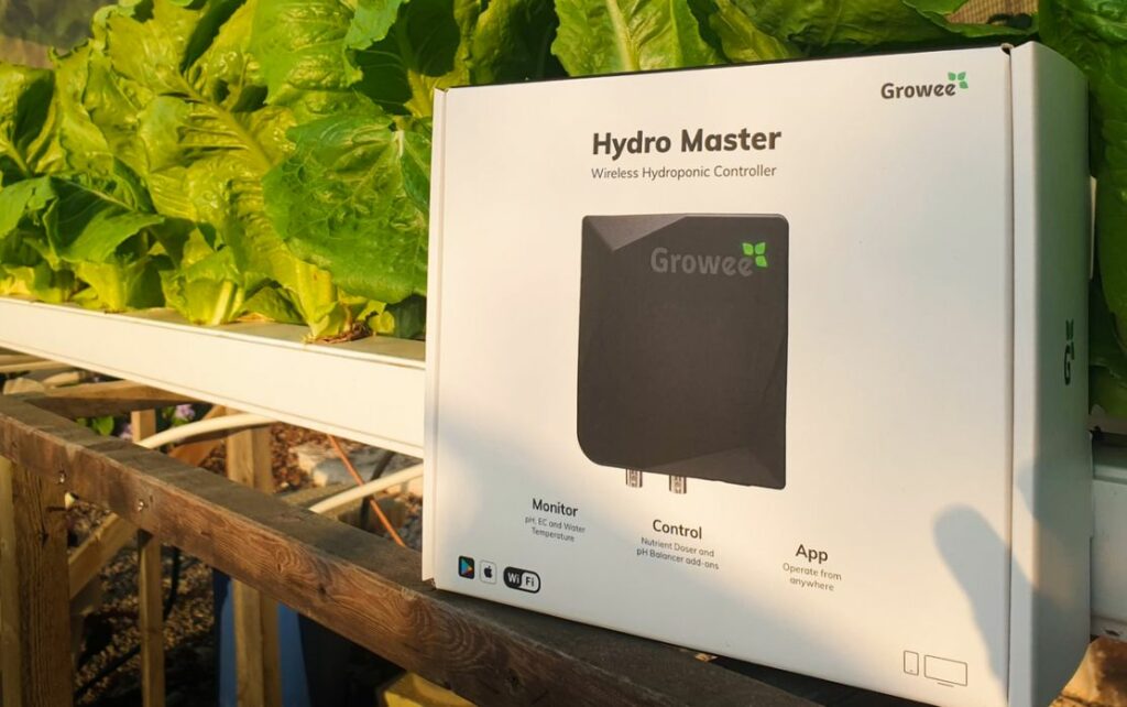 Growee - the Best Hydroponic System to Grow Lettuce