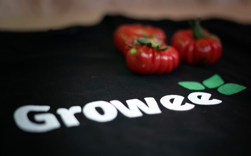 the Best Hydroponic System for Tomatoes
