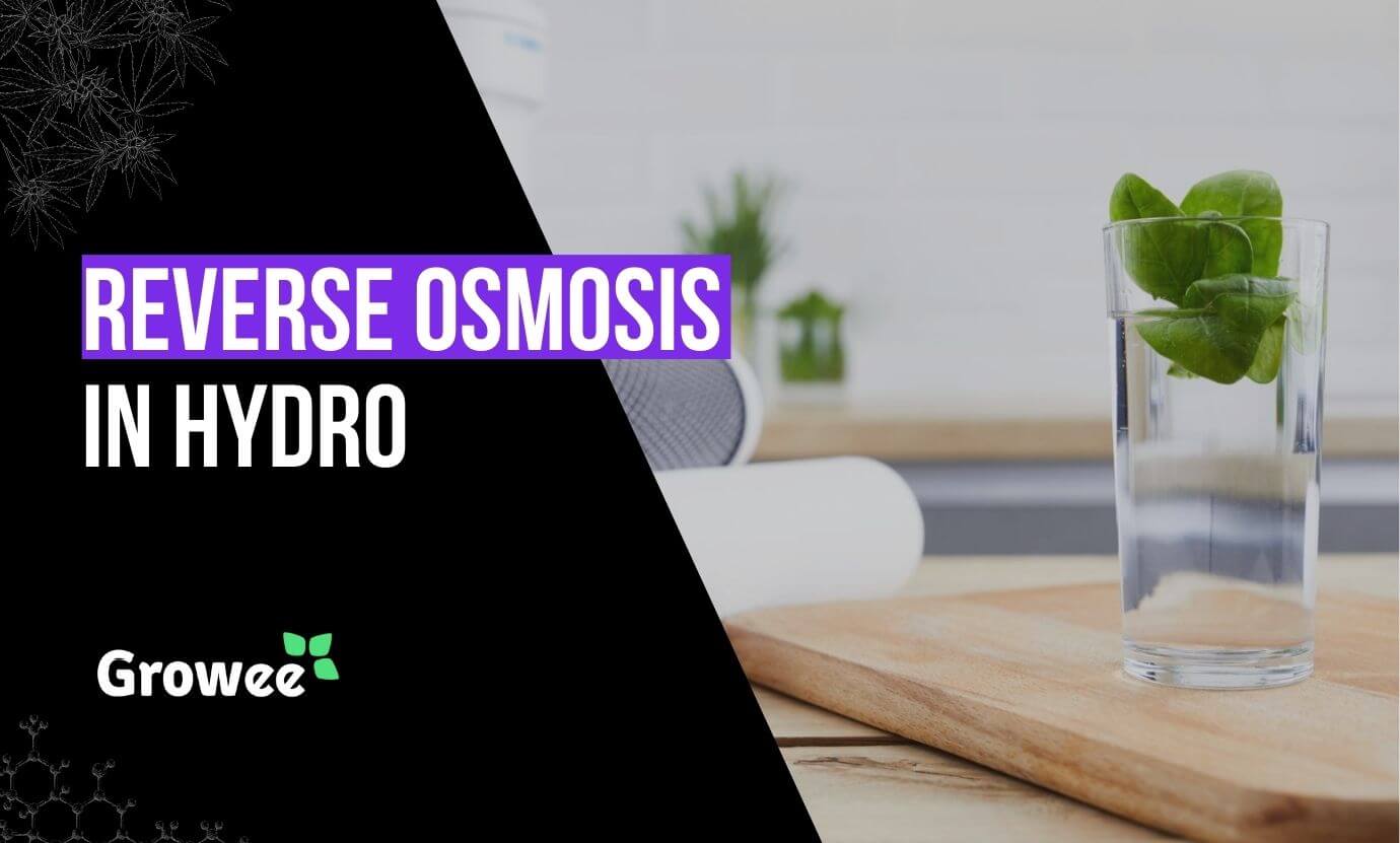 growee - Reverse Osmosis Hydroponics