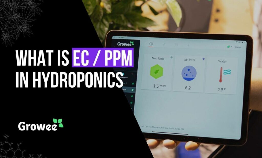 What is EC in Hydroponics and Why It's Important? Growee