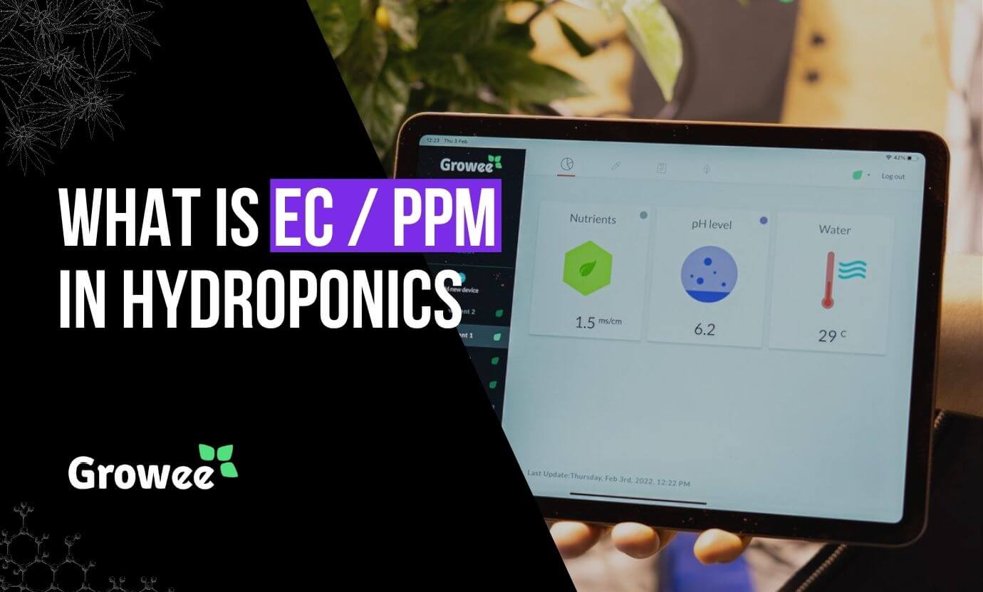 Growee - What is EC in Hydroponics?