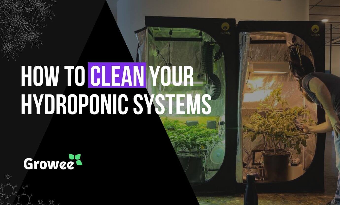 Growee - How To Clean Hydroponic System