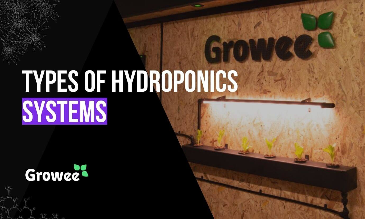 growee - Types Of Hydroponic Systems