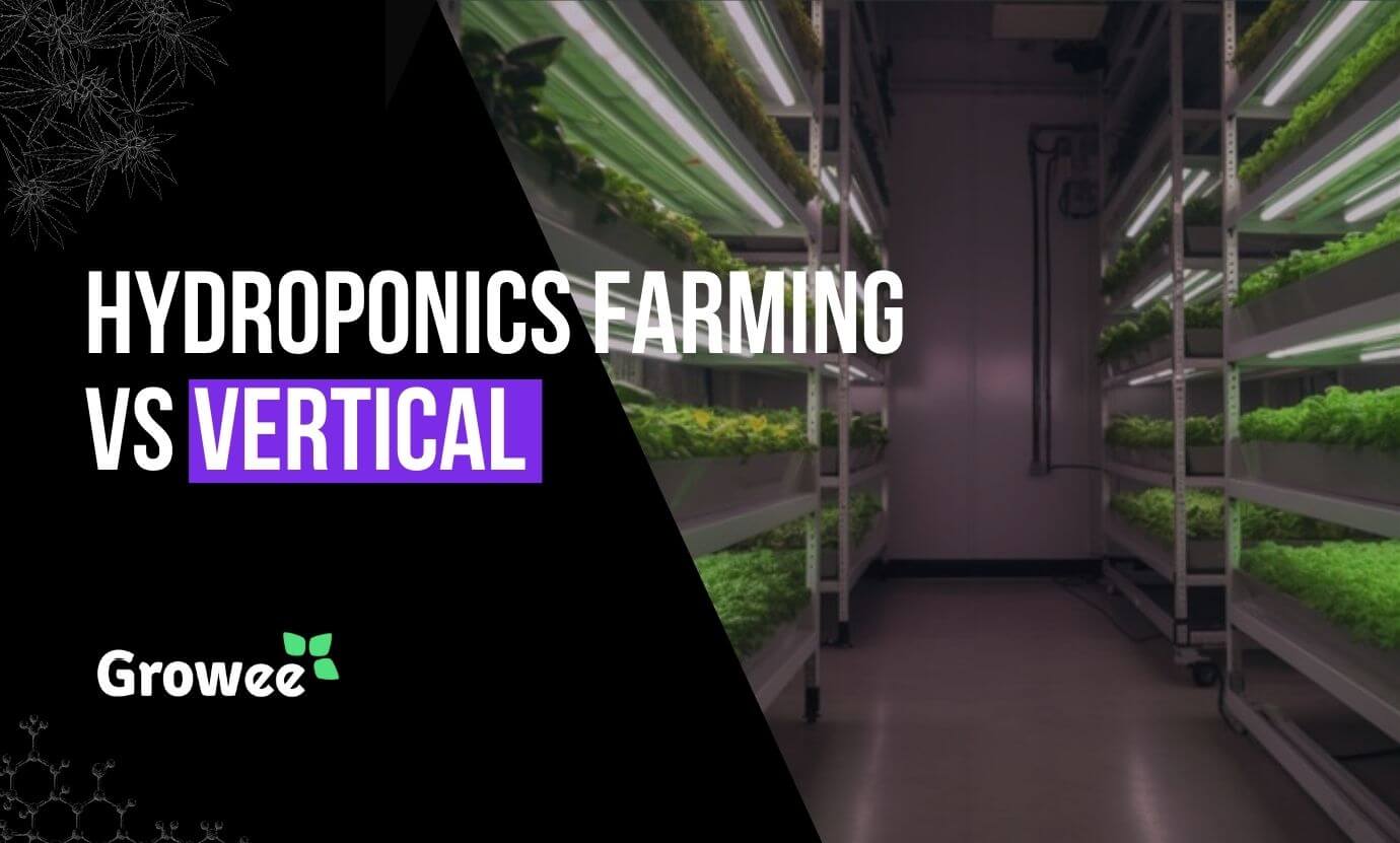 growee - Hydroponic Farming vs. Vertical Farming: What's the Difference?