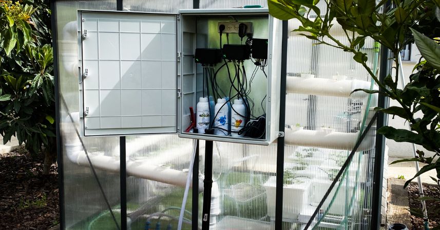 Choosing the Right Hydroponic System for Your Crop