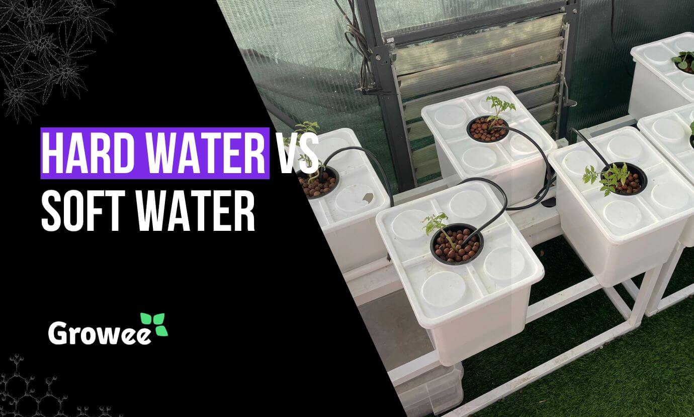 Growee - Hard Water vs. Soft Water_ A Hydroponic Guide to Optimal Hydration