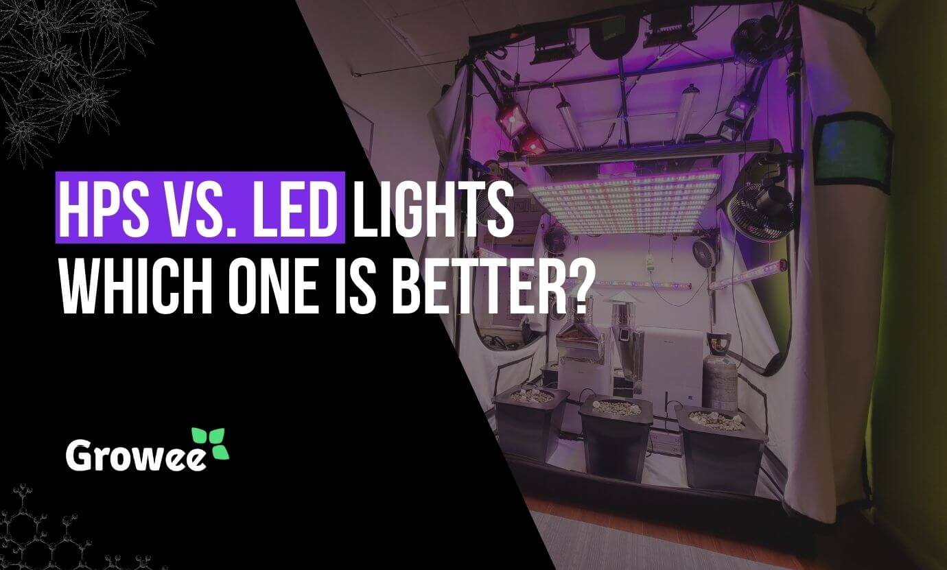 growee - Hydroponic Showdown: HPS vs. LED Grow Lights Which One Is Better?