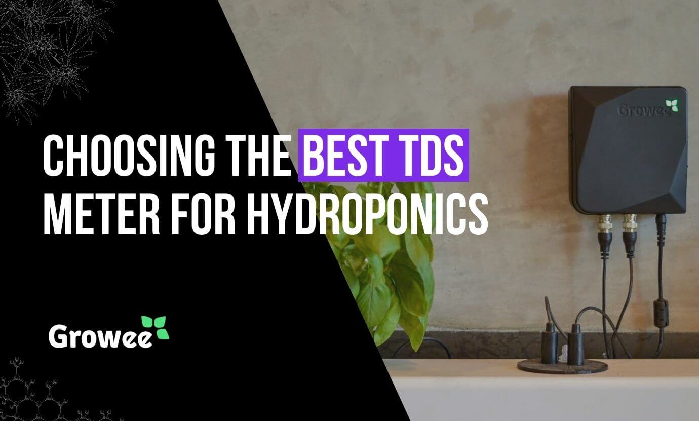 Choosing the Best TDS Meter for Hydroponics