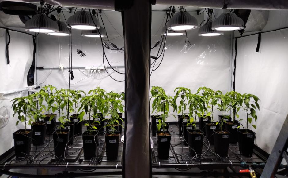 Grow bench hydroponics farm
