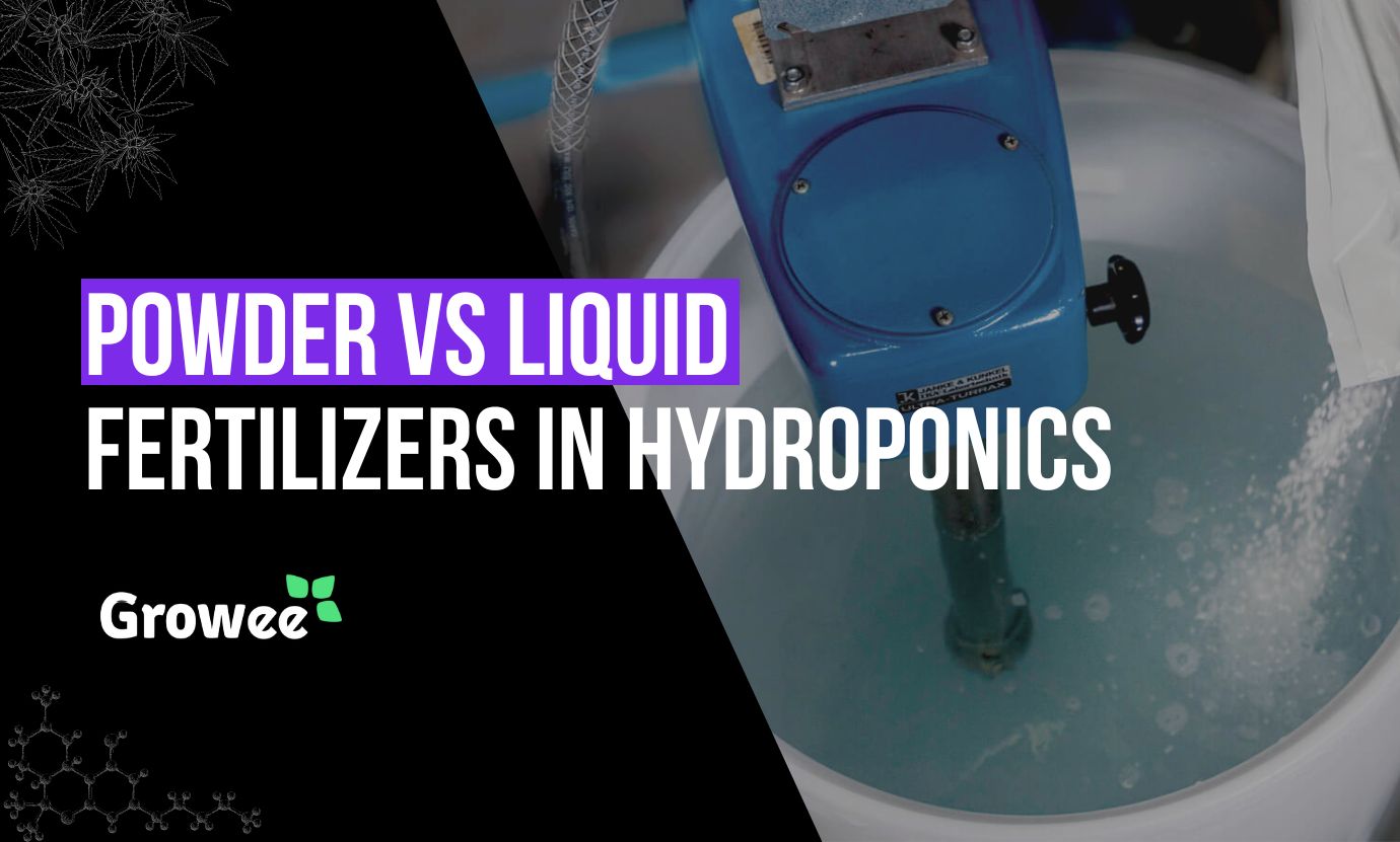 growee - Using Dry Soluble Powder Vs Liquid Fertilizers in Hydroponics