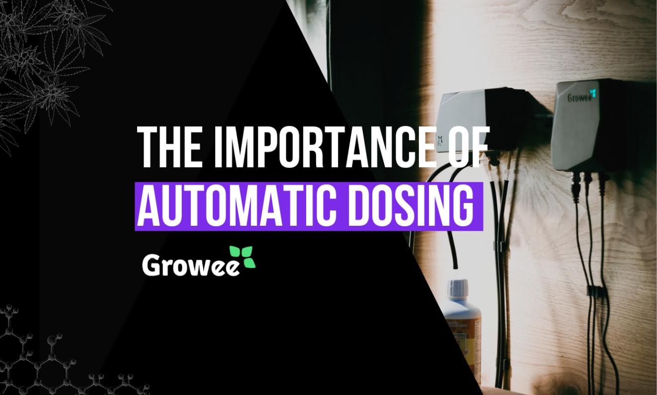 The Importance of Automatic Nutrient & pH Dosing