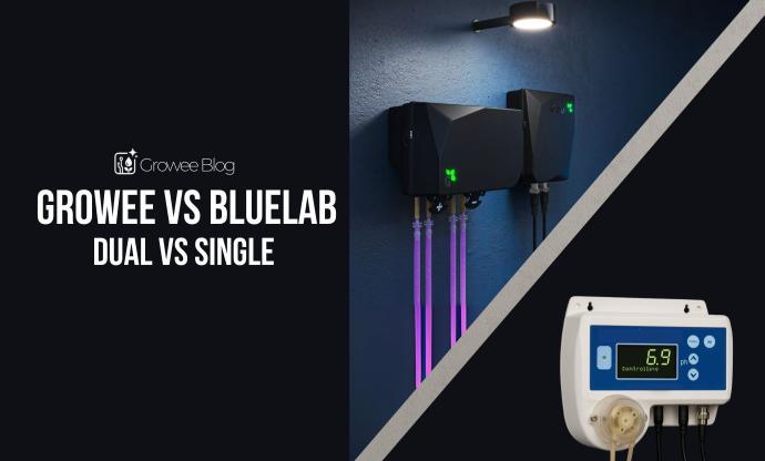 Growee pH Automation vs BlueLab pH Controller: Which One Is Right for You?