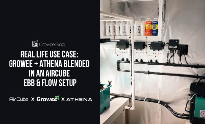 Real-Life Use Case: Growee + Athena Blended in an Aircube Ebb & Flow Setup
